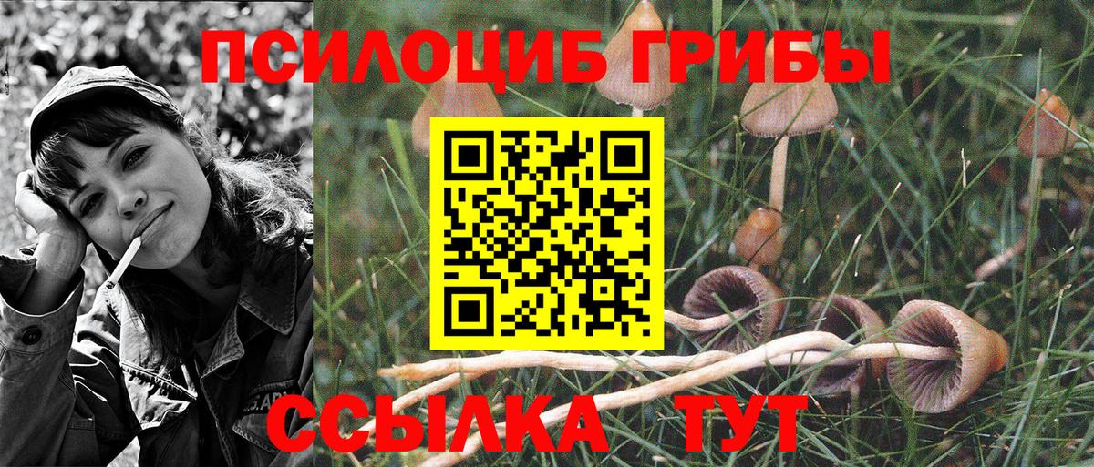 Лангепас  Галлюциногенные грибы Magic Shrooms  Вход с VPN  Псилоцибиновые грибы мухоморы 